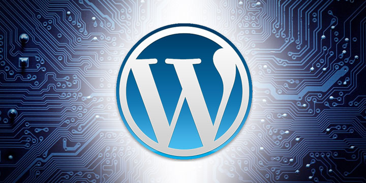 Live WORDPRESS